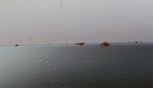 Kleine Blasen bei GFK Becken